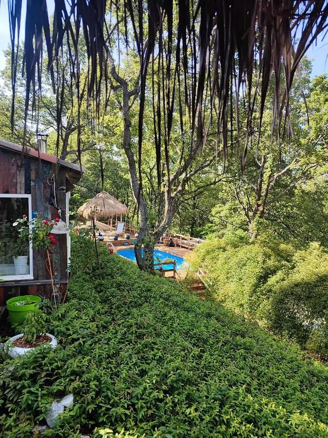 Bed and Breakfast La Lyalis Aiguines Bed & Breakfast