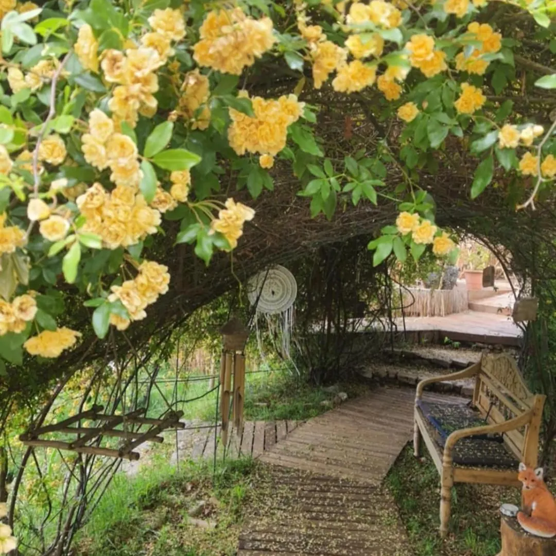 La Lyalis Bed & Breakfast Aiguines France